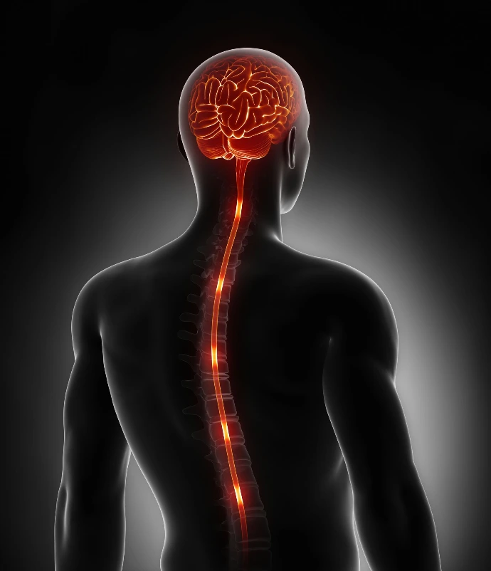 Nervous System Based Treatment