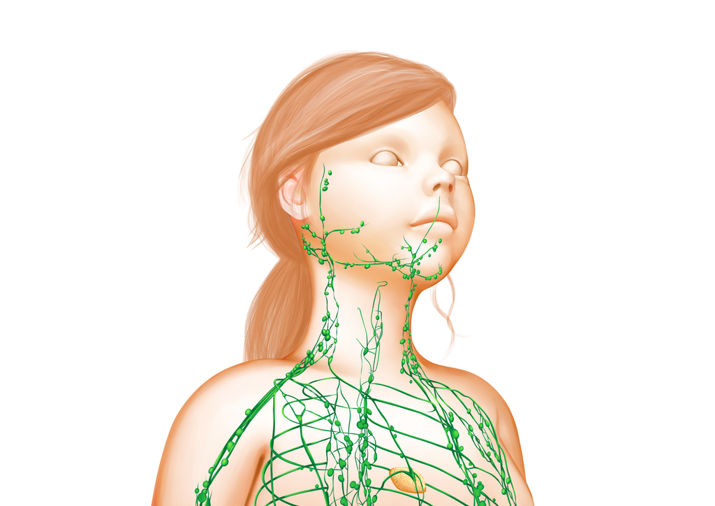 Manual Lymphatic Drainage